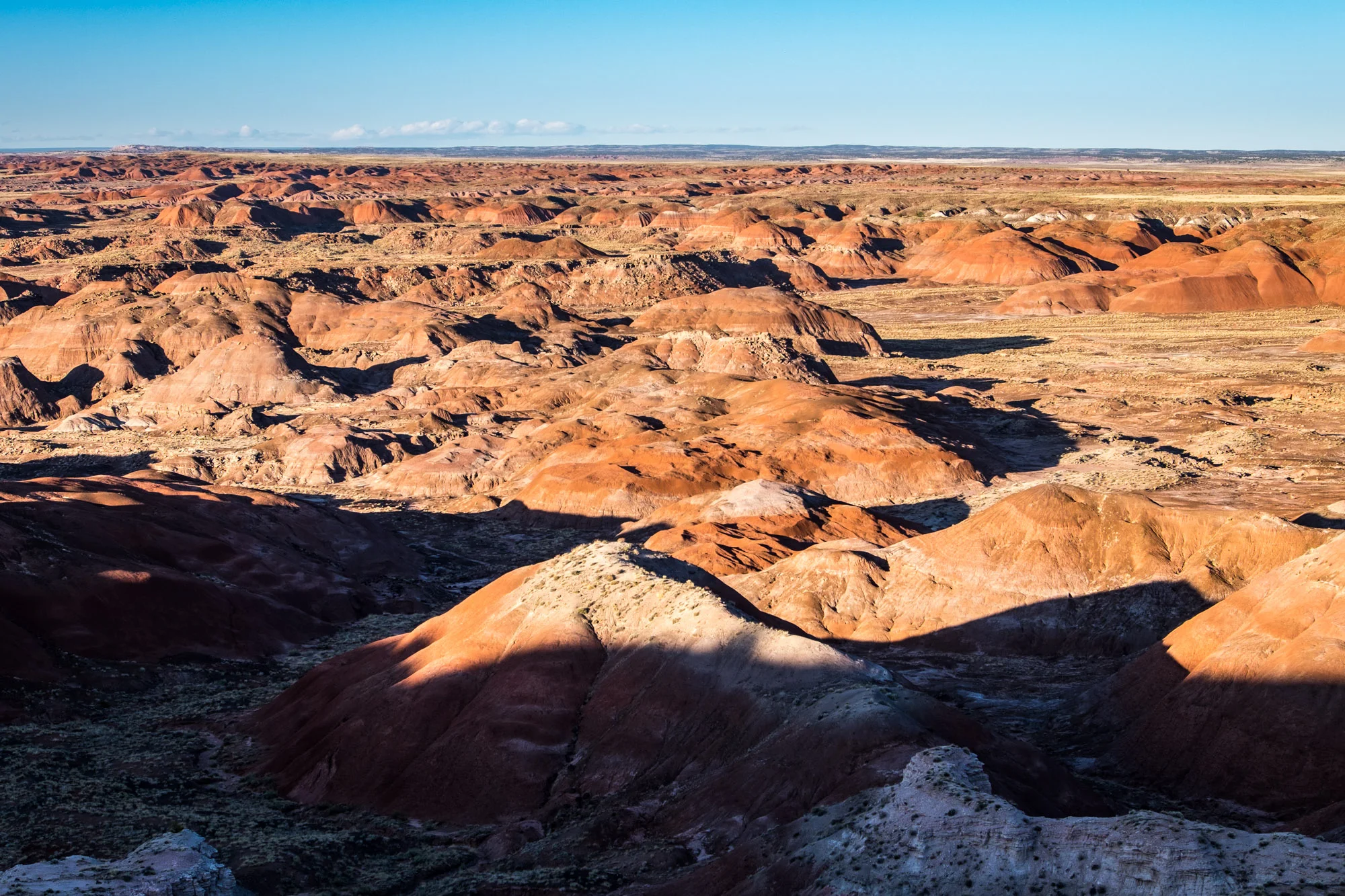 Petrified Forest National Park — The Greatest American Road Trip